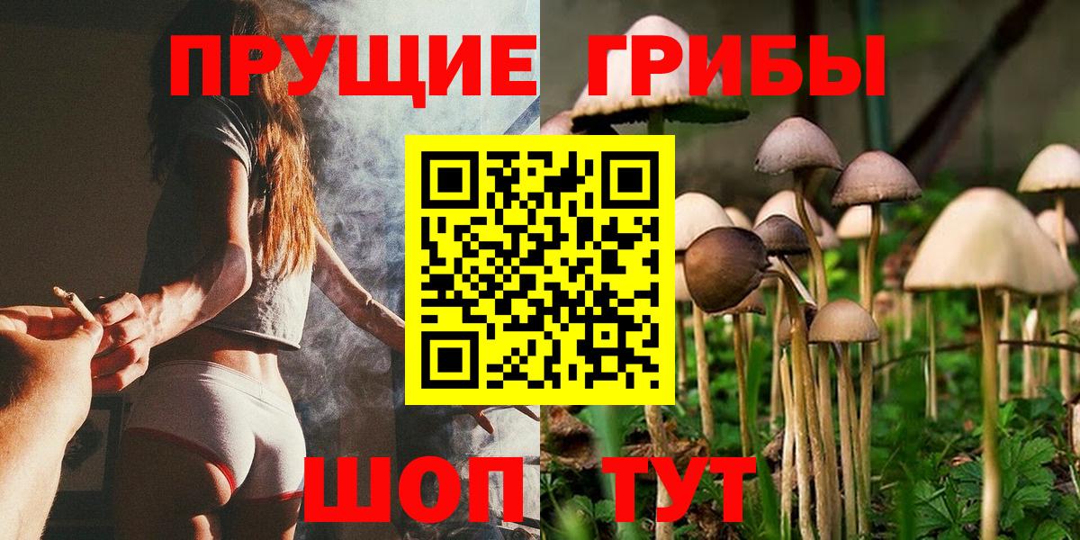 Южноуральск  Галлюциногенные грибы Psilocybine cubensis  Вход с VPN 